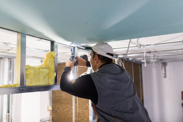 Best Cellulose Insulation in Deer Park, WA
